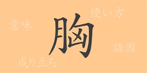 胸 書き方|漢字「胸」の部首・画数・読み方・筆順・意味など.